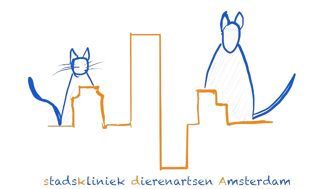 Dapadam